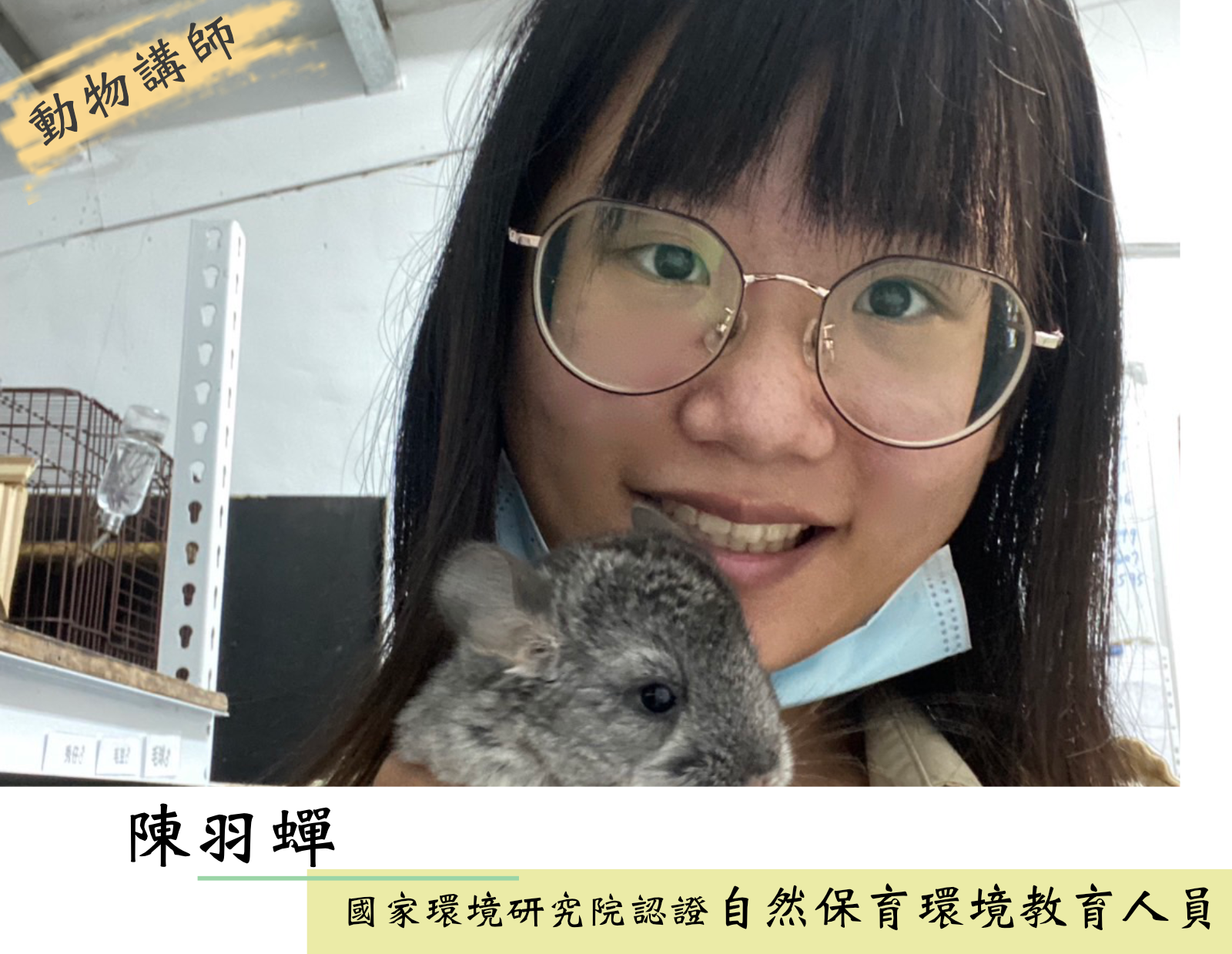 羽蟬1141214